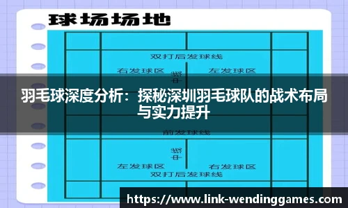 羽毛球深度分析：探秘深圳羽毛球队的战术布局与实力提升